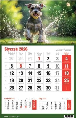 Opakowanie Kalendarz 2026 jednodzielny MIX