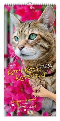 Kalendarz 2026 paskowy szeroki koty kotki koteczki. Wydawca: Pan Kalendarzyk. SmakLiter.pl Opakowanie Kalendarz 2026 paskowy szeroki koty kotki koteczki