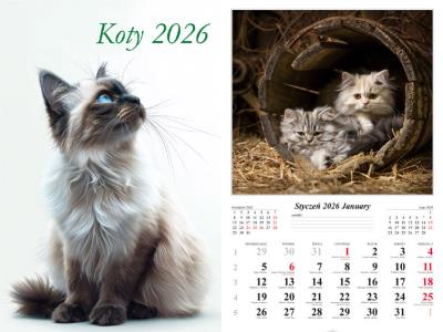 Opakowanie Kalendarz 2026 ścienny 13-k Koty