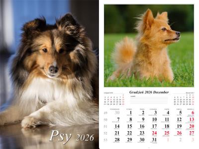 Opakowanie Kalendarz 2026 ścienny 7-k Psy