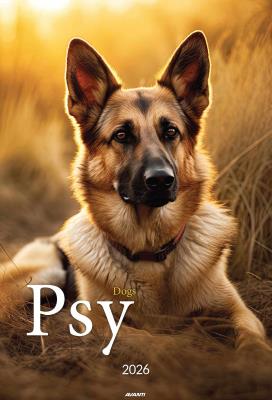 Opakowanie Kalendarz 2026 ścienny A3 Psy
