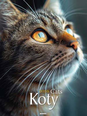 Opakowanie Kalendarz 2026 ścienny Koty