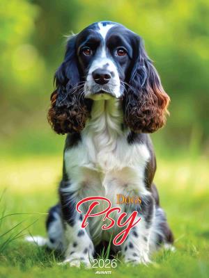 Opakowanie Kalendarz 2026 ścienny Psy