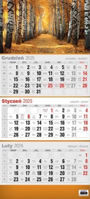 Opakowanie Kalendarz 2026 trójdzielny 3D MIX