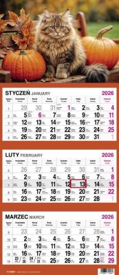 Opakowanie Kalendarz 2026 Trójdzielny Kot