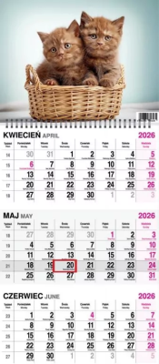 Opakowanie Kalendarz 2026 trójdzielny na spirali Koty
