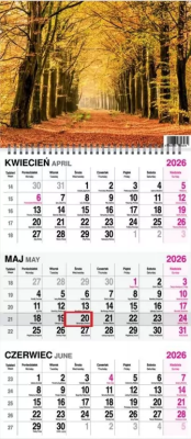 Opakowanie Kalendarz 2026 trójdzielny na spirali Las