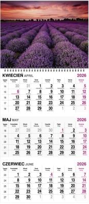 Opakowanie Kalendarz 2026 trójdzielny na spirali MIX