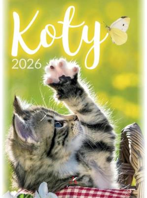 Opakowanie Kalendarz 2026 wieloplanszowy B4 Koty