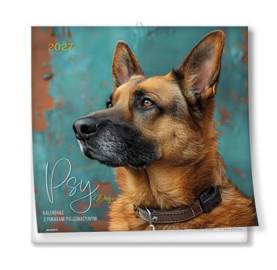 Opakowanie Kalendarz 2027 ścienny 30x30cm Psy z poradami
