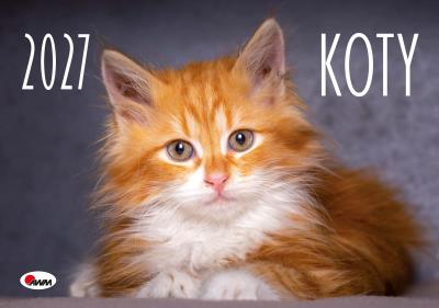 Opakowanie Kalendarz 2027 ścienny Koty KA2