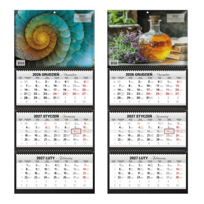 Opakowanie Kalendarz 2027 trzymiesięczny exclusive 1szt.mix