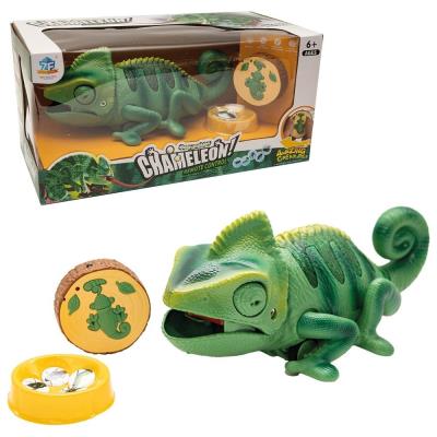 Opakowanie Kameleon R/C