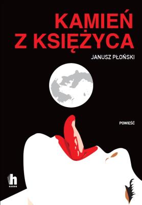 Okładka książki Kamień z Księżyca - uszkodzone