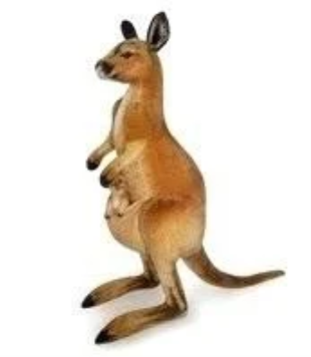 Opakowanie Kangur 45cm