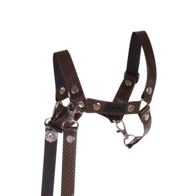 Opakowanie Kantar dla Hobby Horse wodze ekoskóra brązowy