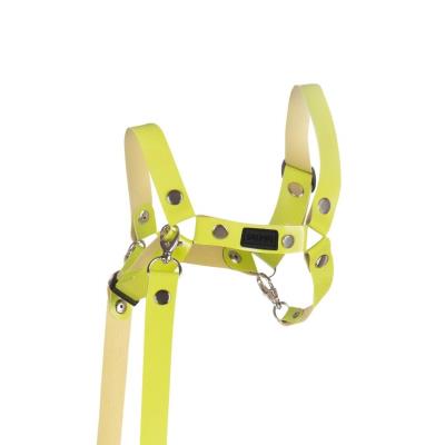 Opakowanie Kantar dla Hobby Horse wodze ekoskóra jasna zieleń