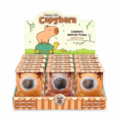 Opakowanie Kapibara z brokatem 1szt.mix