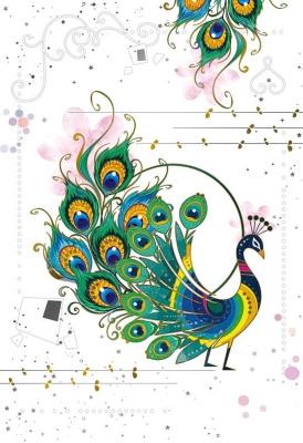 Opakowanie Karnet 12x18cm + koperta Paw