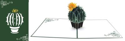 Opakowanie Karnet 12x18cm + koperta POP-UP Kaktus