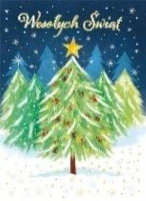 Karnet B6 Boże Narodzenie - Choinka w lesie. Wydawca: Henry. SmakLiter.pl Opakowanie Karnet B6 Boże Narodzenie - Choinka w lesie