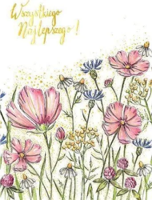 Karnet B6 Kwiaty polne. Wydawca: Henry. SmakLiter.pl Opakowanie Karnet B6 Kwiaty polne