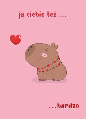 Opakowanie Karnet B6 Walentynki - Kapibara