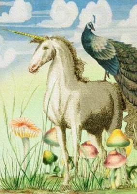 Opakowanie Karnet B6 z kopertą Jednorożec i paw