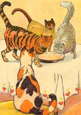 Opakowanie Karnet B6 z kopertą Koty na stole