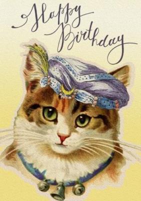 Opakowanie Karnet B6 z kopertą Urodziny Kotka wróżka