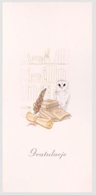 Opakowanie Karnet Gratulacje DL AB01 - Sowa