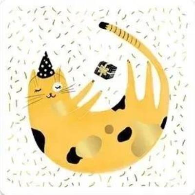 Opakowanie Karnet jednostronny Urodzinowy kot