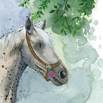 Karnet Koń pod drzewem. Wydawca: Alex Clark. SmakLiter.pl Opakowanie Karnet Koń pod drzewem