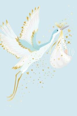 Opakowanie Karnet Narodziny - Blue Stork