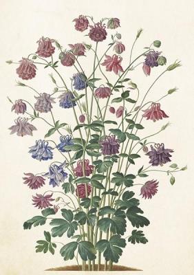 Karnet ST510 B6 + koperta Orlik pospolity. Wydawca: Skona Ting. SmakLiter.pl Opakowanie Karnet ST510 B6 + koperta Orlik pospolity