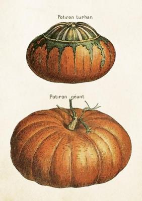 Opakowanie Karnet ST515 B6 + koperta Dynie