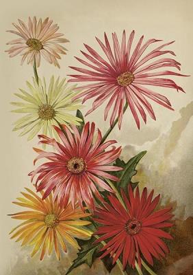 Karnet ST515 B6 + koperta Gerbery. Wydawca: Skona Ting. SmakLiter.pl Opakowanie Karnet ST515 B6 + koperta Gerbery