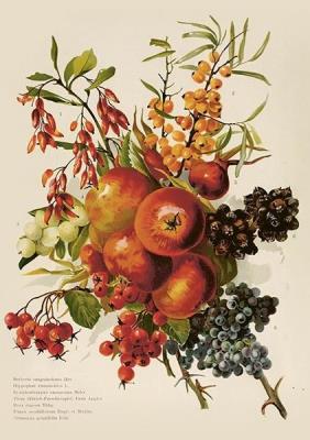 Karnet ST515 B6 + koperta Jesienny bukiet. Wydawca: Skona Ting. SmakLiter.pl Opakowanie Karnet ST515 B6 + koperta Jesienny bukiet