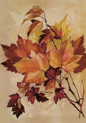 Karnet ST515 B6 + koperta Jesienny klon. Wydawca: Skona Ting. SmakLiter.pl Opakowanie Karnet ST515 B6 + koperta Jesienny klon