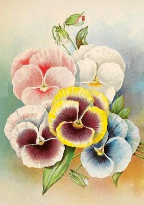 Opakowanie Karnet ST536 B6 + koperta Bratki