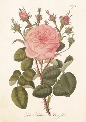 Opakowanie Karnet ST540 B6 + koperta Róża