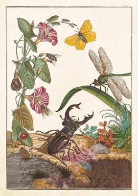 Opakowanie Karnet ST542 B6 + koperta Owady