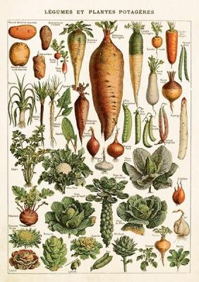 Opakowanie Karnet ST543 B6 + koperta Warzywa