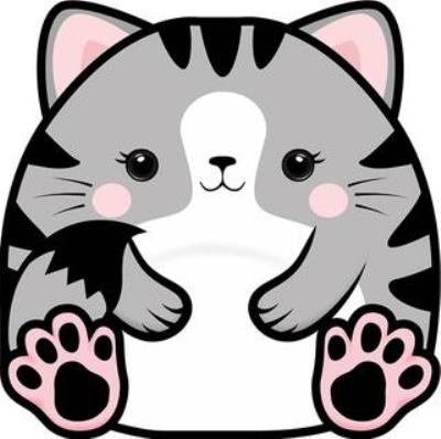 Opakowanie Karnet Uniwersalny - Chonky Cat