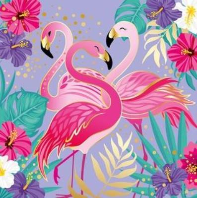 Opakowanie Karnet Uniwersalny - Shiny Flamingos