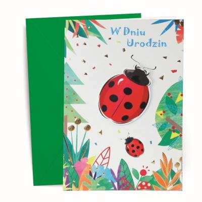 Karnet urodzinowy. Wydawca: Kalpol. SmakLiter.pl Opakowanie Karnet urodzinowy