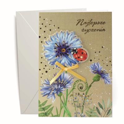 Karnet urodzinowy. Wydawca: Kalpol. SmakLiter.pl Opakowanie Karnet urodzinowy