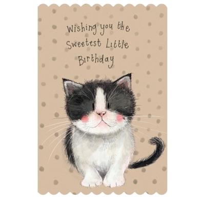 Opakowanie Karnet Urodziny Kotek