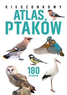 Kieszonkowy atlas ptaków. 180 gatunków. Autor: Jan Król. SmakLiter.pl Okładka książki Kieszonkowy atlas ptaków. 180 gatunków