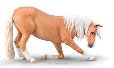 Opakowanie Klacz lusitiano kłaniająca się maści izabelowatej